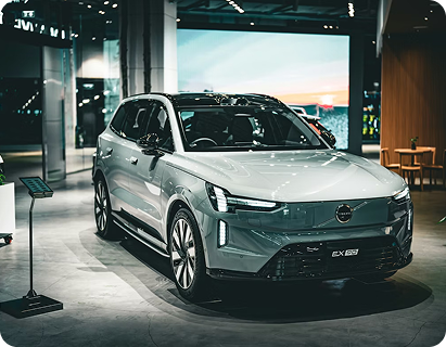 Endangered Nilgiri tahr