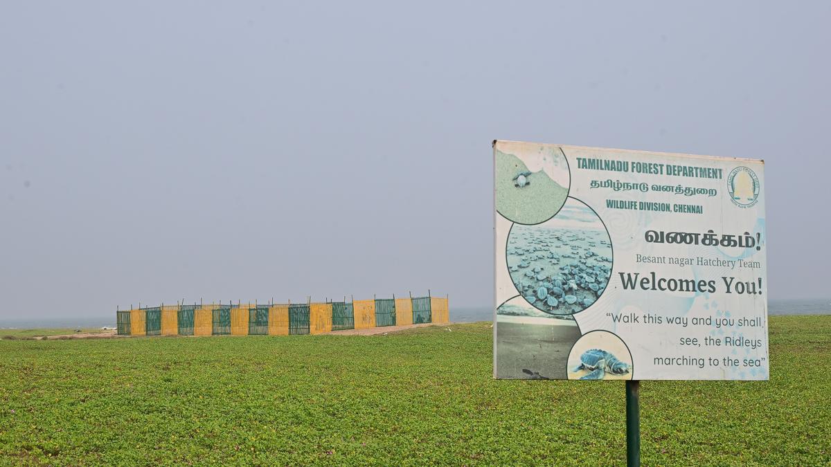 CM Stalin launches TN Forest, Wildlife Crime Control Bureau